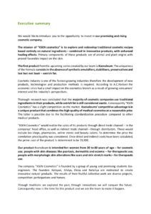 editable 10 proposal executive summary examples  pdf word  examples trade proposal template pdf