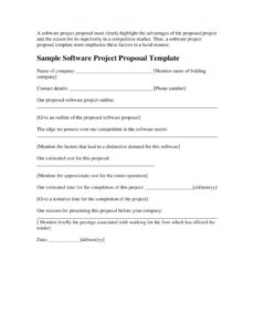 editable 13 software project proposal examples in pdf  ms word new software proposal template example