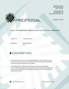 editable sale of business and assets sample proposal  5 steps selling business proposal template