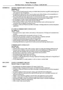 free cybersecurity consultant resume samples  velvet jobs cyber security proposal template word