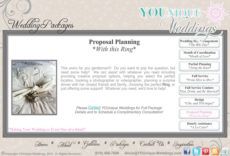 printable wedding planner wedding planner proposal wedding planner services proposal template word