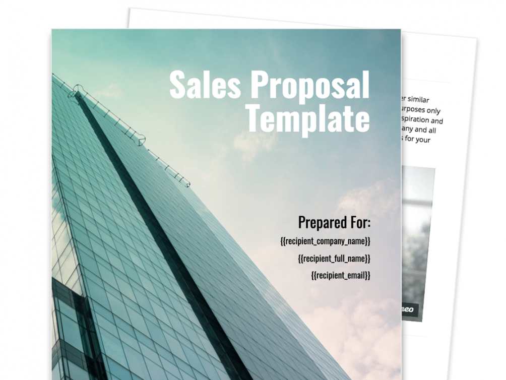 sales proposal template  proposable professional sales proposal template pdf