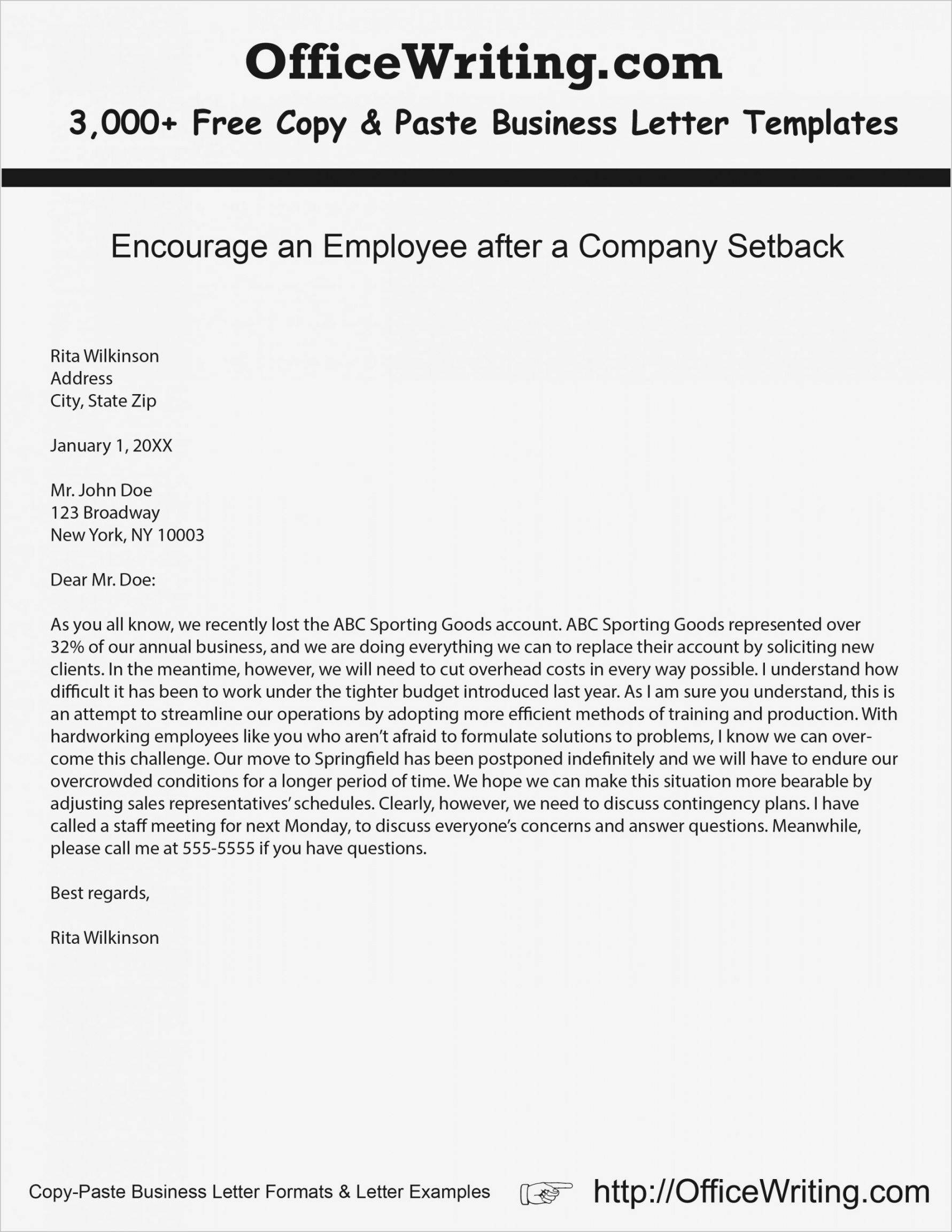 sample mock business l plan pdf suyhi margarethaydon com samples of executive coaching proposal template pdf