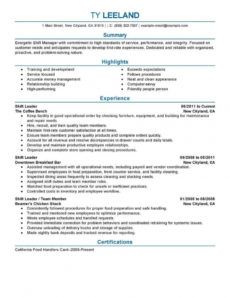 11 amazing management resume examples  livecareer management position resume template pdf