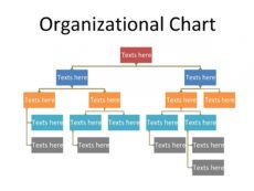 41 organizational chart templates word excel powerpoint psd management organizational chart template excel