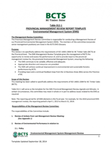 free provincial management review report template environmental management system template excel