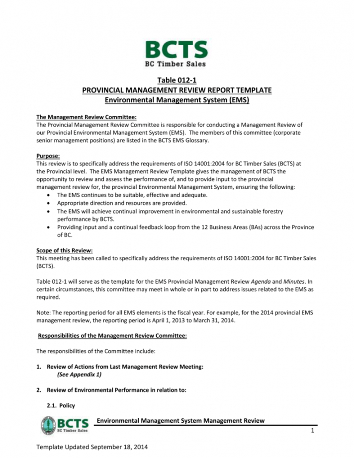 free provincial management review report template environmental management system template excel