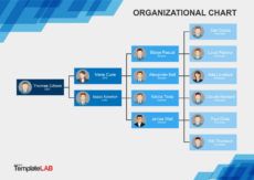 printable 41 organizational chart templates word excel powerpoint psd management organizational chart template excel