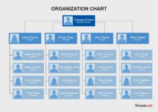 printable 41 organizational chart templates word excel powerpoint psd management organizational chart template pdf