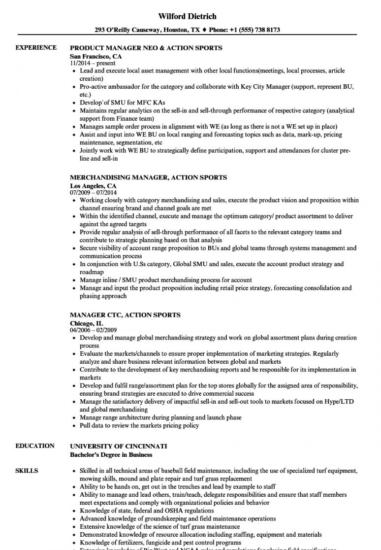 resume objective examples sports management