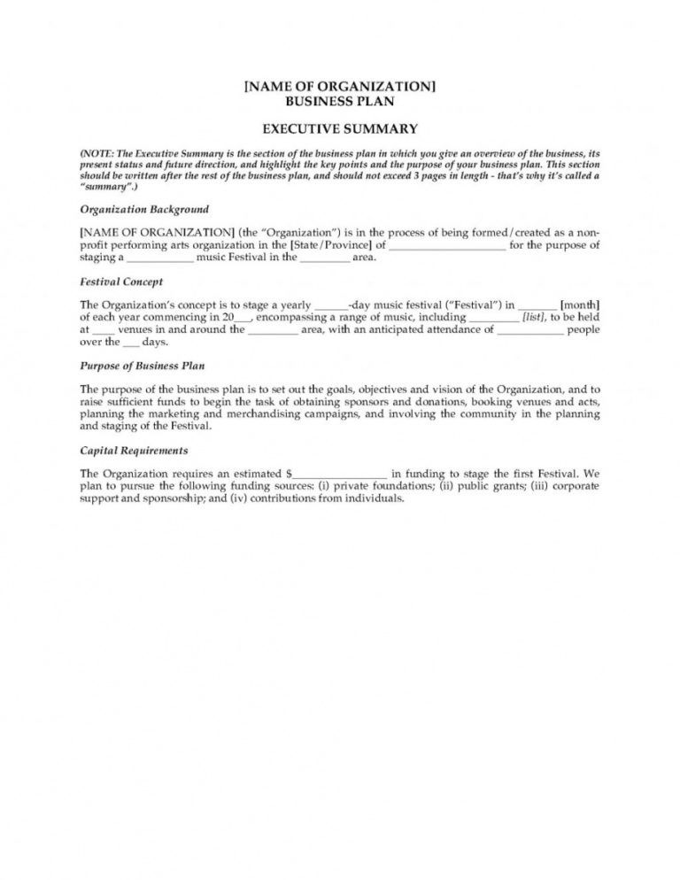 Music festival executive summary picture