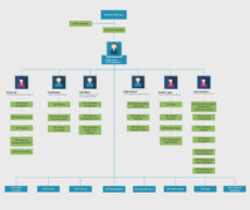 sample organizational chart templates  editable online and free to management organizational chart template excel