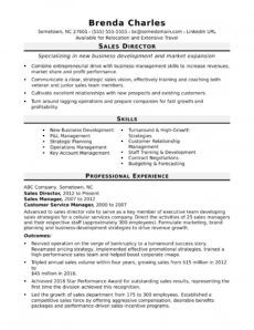 printable sales director resume sample  monster business management resume template