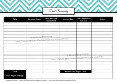 sample debt organizer  apcc2017 debt management template example