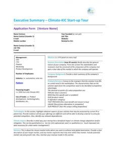 sample project executive summary template ~ addictionary project management summary template pdf