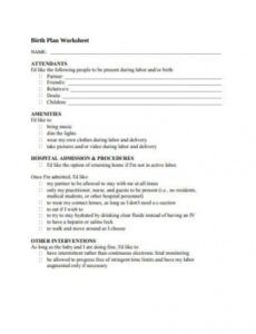 10 hospital birth plan templates in pdf  doc  free hospital proposal template doc