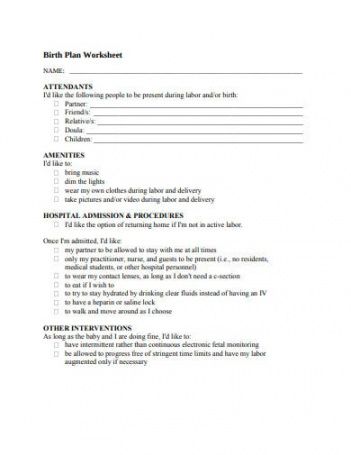 10 hospital birth plan templates in pdf  doc  free hospital proposal template doc