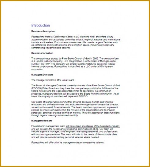 3 hotel marketing plan pdf  fabtemplatez security company proposal template pdf