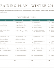 printable running training plan template  run reporter sample training proposal template pdf