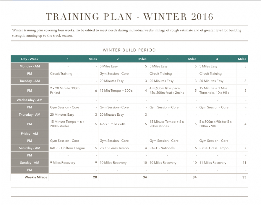 printable running training plan template  run reporter sample training proposal template pdf