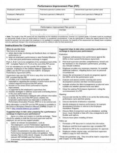 printable performance improvement plan template  pdf excel word artist performance proposal template word