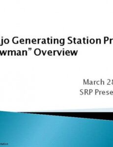 free strawman  srp presentation authorstream strawman proposal template doc