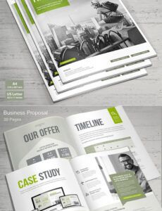 printable business proposal brochure templates  design  graphic business proposal template pdf