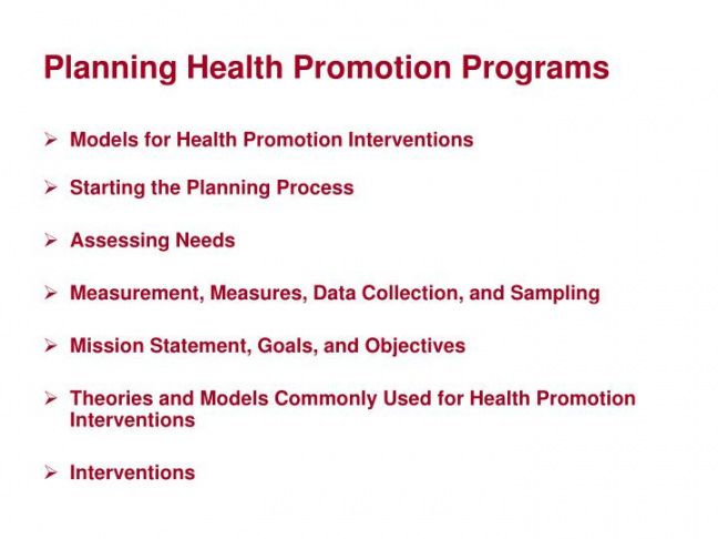 sample ppt  planning health promotion programs powerpoint health promotion project proposal template