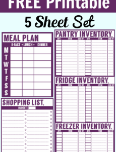 editable food pantry inventory spreadsheet  laobing kaisuo home food inventory template excel