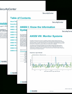 free anssi report  sc report template  tenable® hipaa asset inventory template example