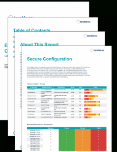 free operations cnbv annex 72 compliance report  sc report template  tenable® hipaa asset inventory template doc
