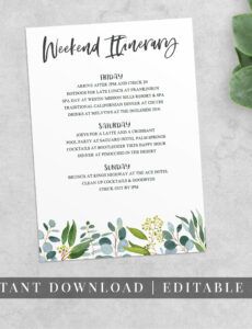 printable weekend itinerary template editable hens weekend hens  etsy etsy itinerary template pdf