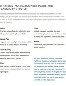 printable 22 non profit business plan templates  pdf doc  free &amp; premium pilot program proposal template