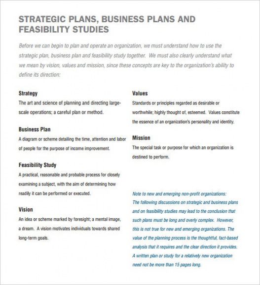 printable 22 non profit business plan templates  pdf doc  free &amp; premium pilot program proposal template