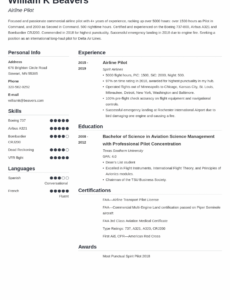 printable pilot resume  template and examples for professional airline pilots pilot program proposal template excel