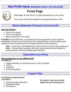 sample 22 non profit business plan templates  pdf doc  free &amp;amp; premium pilot program proposal template example