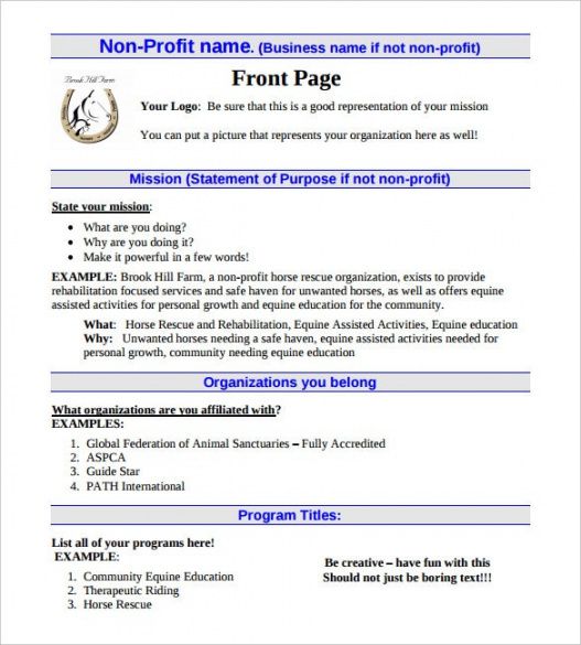 sample 22 non profit business plan templates  pdf doc  free &amp; premium pilot program proposal template example