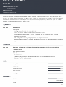 sample pilot resume  template and examples for professional airline pilots pilot program proposal template