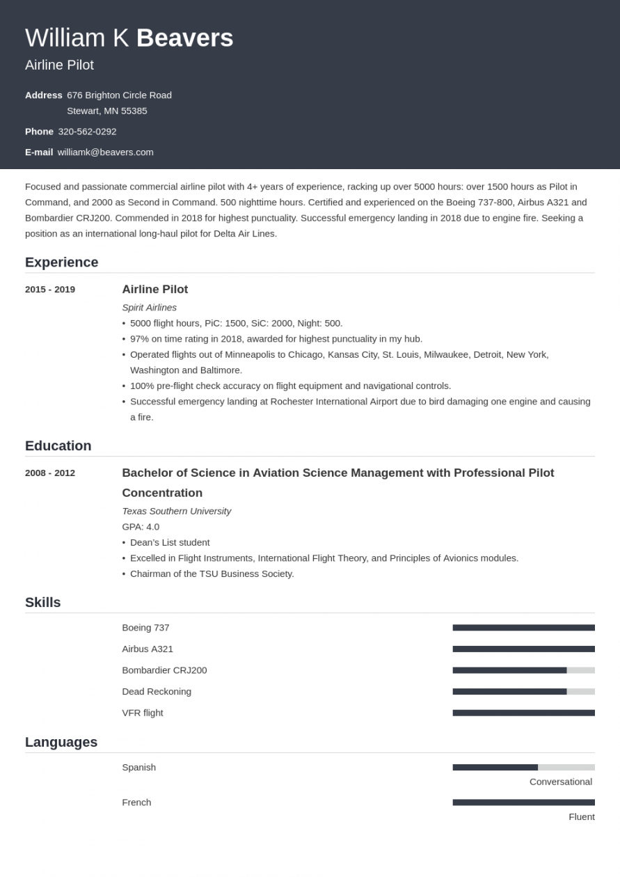 sample pilot resume  template and examples for professional airline pilots pilot program proposal template