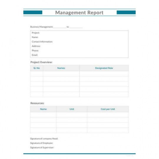 editable 38 monthly management report templates  pdf doc excel  free monthly management report template excel