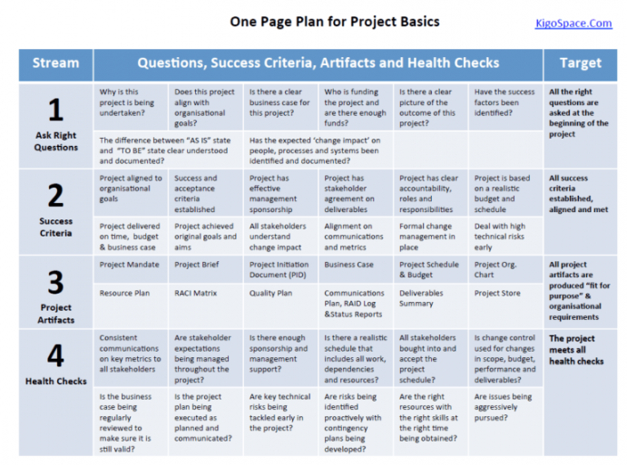 editable project management 101  one page plan for project basics resistance management plan template excel