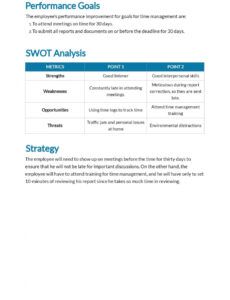 free performance improvement plan for time management template in google performance management plan template doc