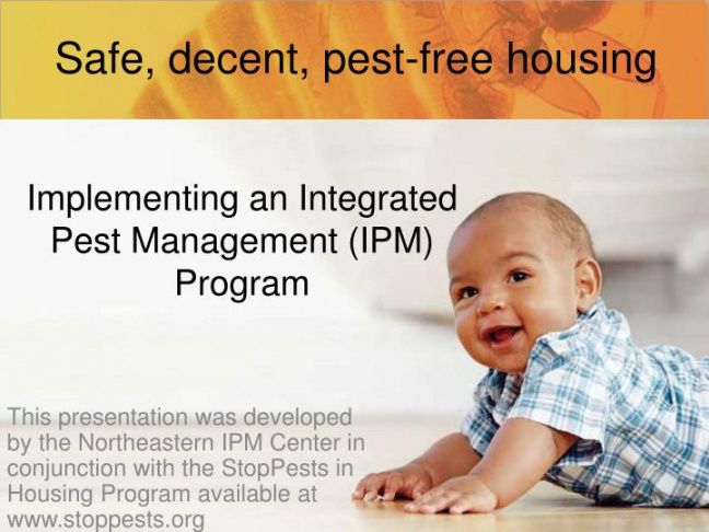 free ppt  implementing an integrated pest management ipm program integrated pest management plan template doc