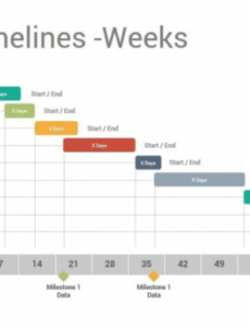 printable project plan &amp;amp; timeline template 2021  projectmanagement high level project management plan template word