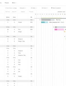 sample digital marketing campaign template and sample  teamgantt 2022 digital marketing strategy proposal template