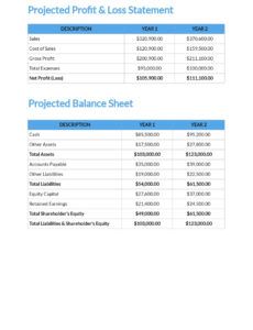 Printable Commercial Cleaning Business Proposal Template Excel