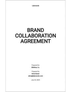 Printable Influencer Collaboration Proposal Template  Sample