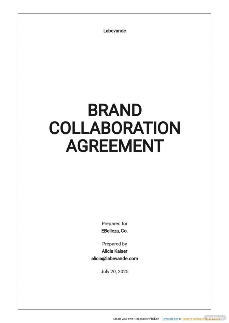 Printable Influencer Collaboration Proposal Template  Sample