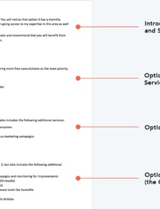 Custom Web Application Development Proposal Template Word