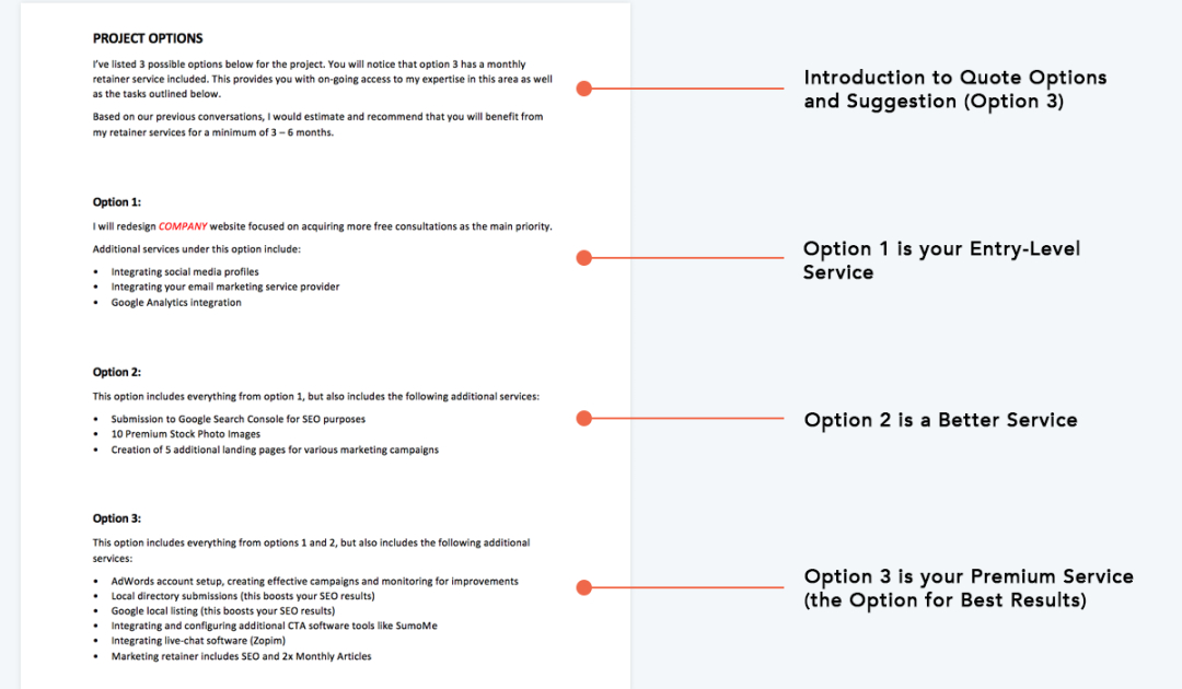 Custom Web Application Development Proposal Template Word